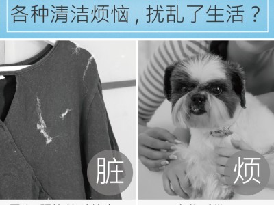 還在被家裡的毛髮清理所困擾嗎？這幾個小妙招後悔學晚了