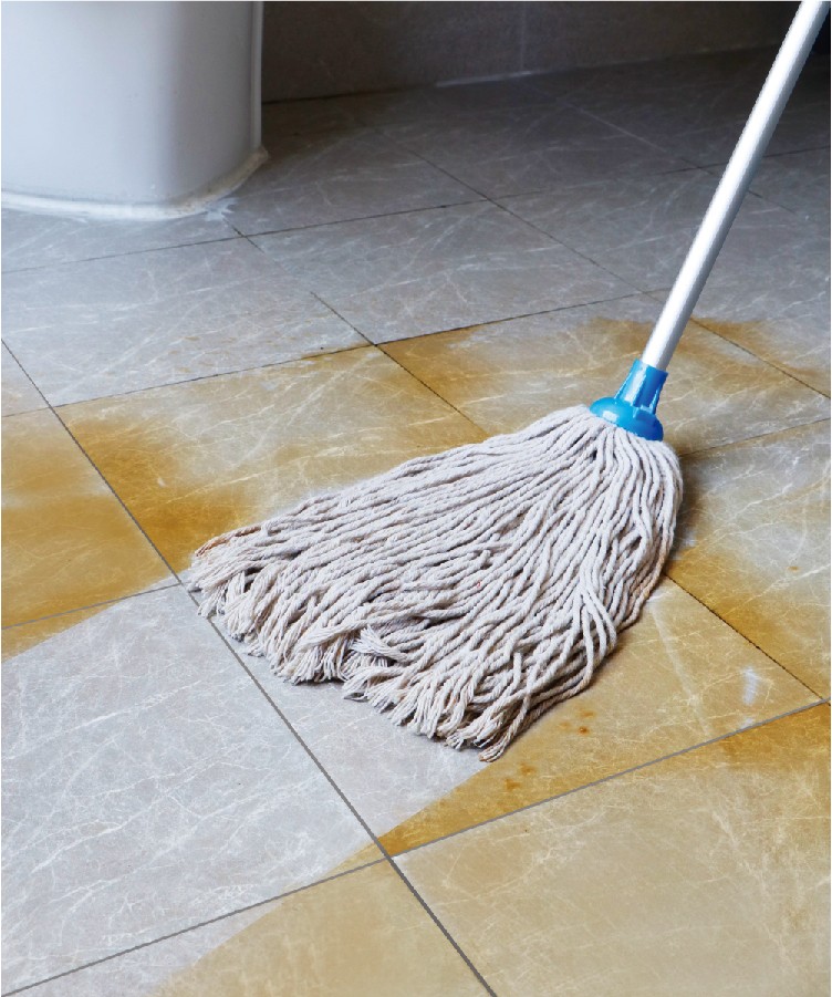 1661932037621887.jpg CT Cotton Round Mop Complete - Cleanic Cleaning Equipment