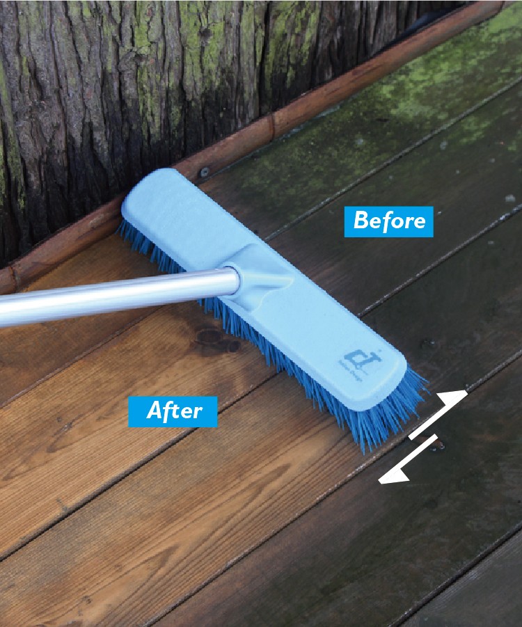 1662018534835696.jpg CT Scrubbing Brush Complete - Cleanic Cleaning Equipment