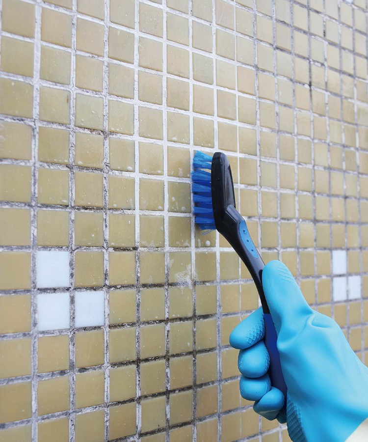 1662104829217834.jpg CT Multipurpose Gap Cleaning Brush - Cleanic Cleaning Equipment