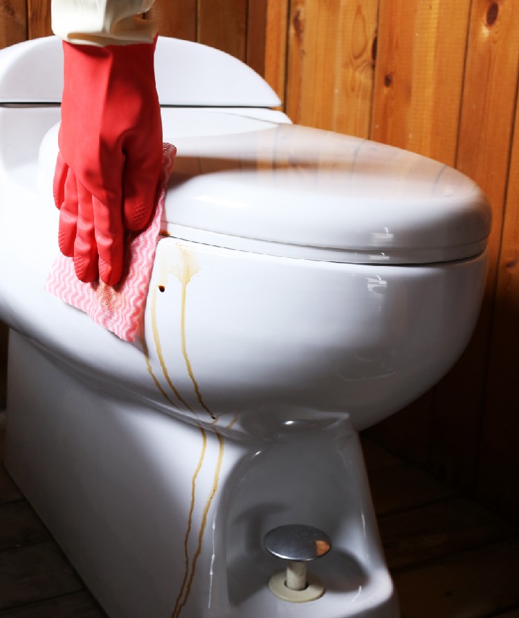 1662107353759039.jpg CT Disposable Wipes - Cleanic Cleaning Equipment