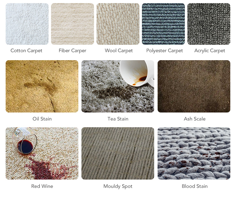28021647.jpg Dr.Dirt Carpet Shampooer - Cleanic Cleaning Equipment